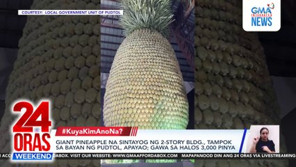 Giant pineapple na sintayog ng 2-story bldg., tampok sa bayan ng Pudtol, Apayao; gawa sa halos 3,000 pinya | 24 Oras Weekend