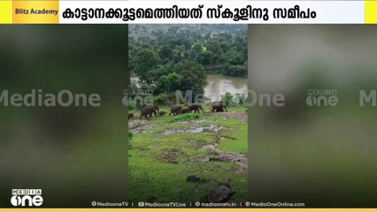 പാലക്കാട് കഞ്ചിക്കോട് ജനവാസ മേഖലയോട് ചേർന്ന് വീണ്ടുമെത്തി കാട്ടാനക്കൂട്ടം