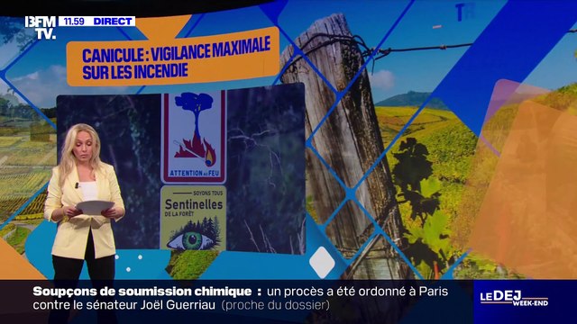 Anne Seften sur BFM (28/06/2025)