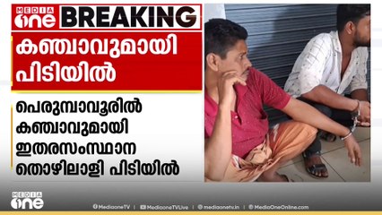 പെരുമ്പാവൂരിൽ 18 കിലോ കഞ്ചാവുമായി ഇതര സംസ്ഥാന തൊഴിലാളികൾ പിടിയിൽ; കൊണ്ടുവന്നത് ഒഡീഷയിൽ നിന്ന്