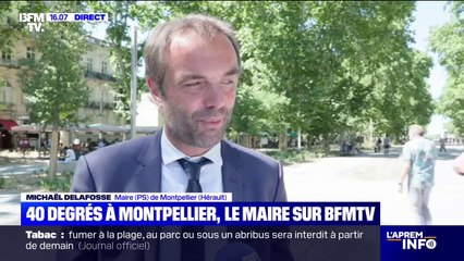 Canicule: "On a planté 50.000 arbres pour nous adapter aux changements climatiques" explique le maire de Montpellier