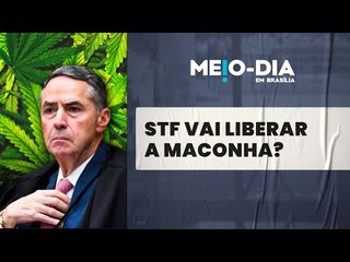 STF vai liberar uso da maconha? Saiba o que está em jogo