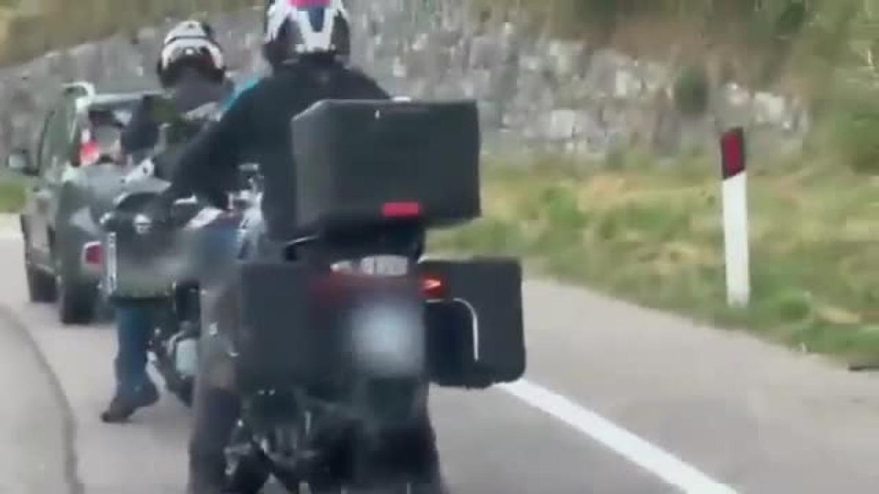 Trentino, il video dell'incidente: mucca fugge dal pascolo e travolge due motociclisti