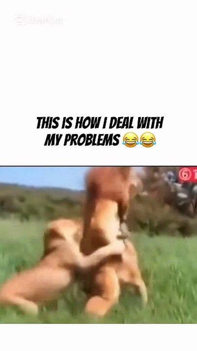 dealing with my problem