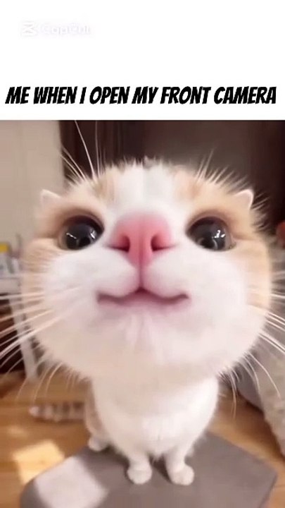 its selfie time