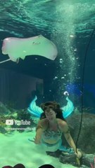 Serine mermaid 🧜‍♀️🧜‍♀️ in flawlessly enjoying in the Water 💧