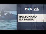 PF conclui inquérito e não indicia Bolsonaro por importunação à baleia
