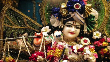 मोर छबीला गोविंद प्यारा | Mor Chhabeela Govind Pyara | Radha Krishna Bhajan | Brij Ras Song