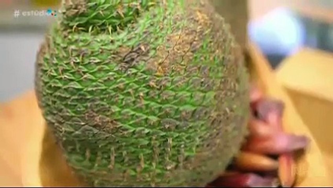 LAZANHA DE PINHÃO