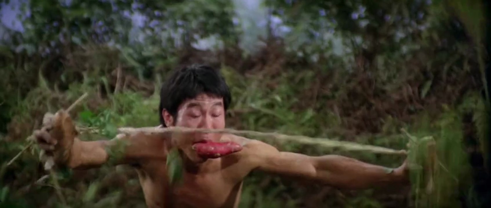 Mad Monkey Kung Fu (1979) Full Movie-English Subtitle