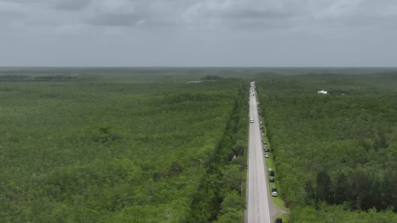 ‘Alligator Alcatraz’ Protest Erupts in Florida Wetlands