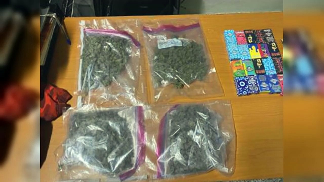 Detienen pasajero en AILA con presunta marihuana y 20 vapers