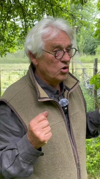 Entretien avec Michel AUDUREAU sur le comportement des coqs et des poules 🤩🐔