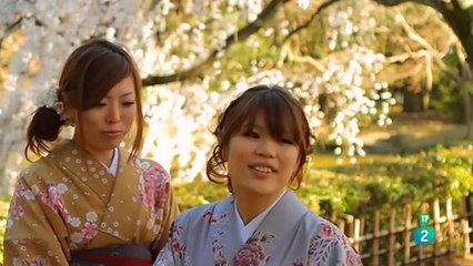 El Tsunami Y Los Cerezos En Flor: Una Historia De Resiliencia