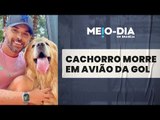 Cachorro morre depois de ser embarcado por engano pela GOL