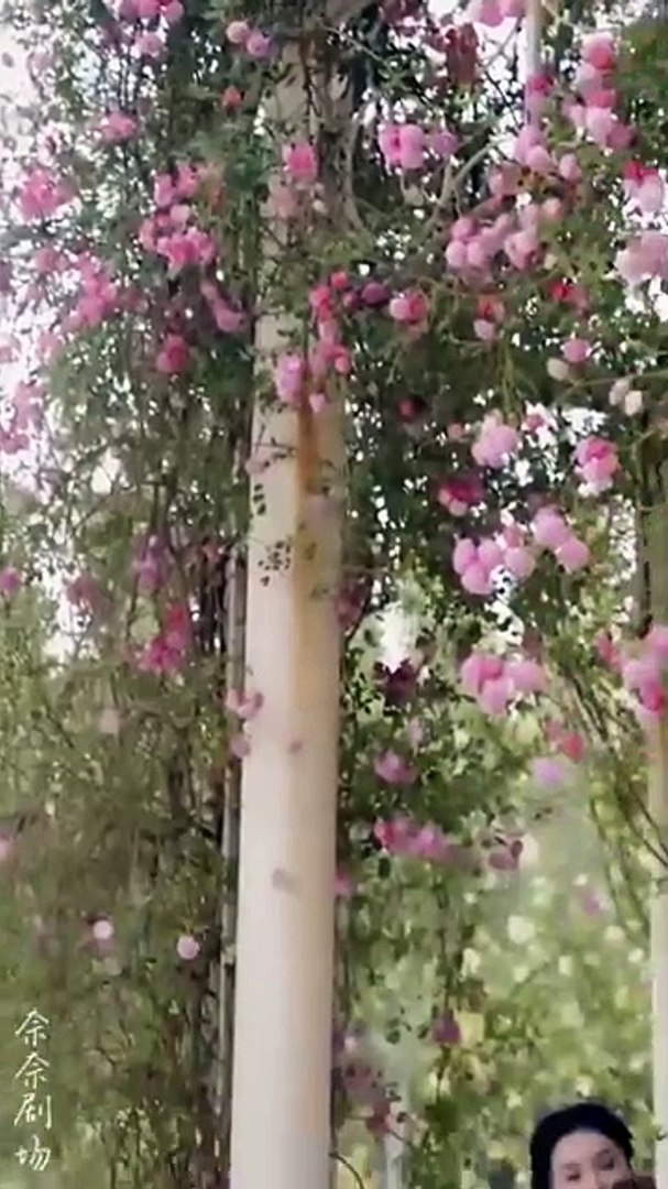 The Expiration Of Love Full Chinese Drama - English Sub