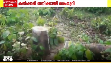 ഛത്തീസ്ഗഡിലെ റായ്ഗഡിൽ അദാനിയുടെ കൽക്കരി ഖനിക്കായി വൻതോതിൽ മരങ്ങൾ മുറിക്കുന്നതായി റിപ്പോർട്ട്