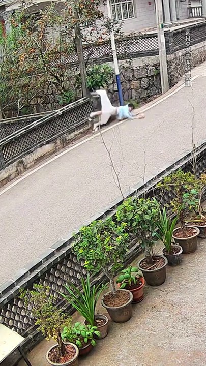Funny videos are pure entertainment that will make you laugh until you can't stop!