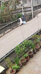 Funny videos are pure entertainment that will make you laugh until you can't stop!