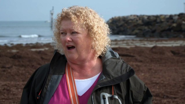 Adelaide beachgoers urged to report dead and washed-up sea life