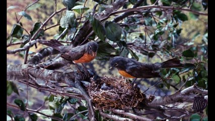 Practically Perfect in Every Virgo Way: A Mary Poppins Tribute