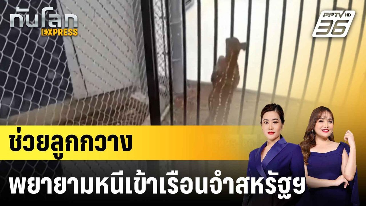 หัวจะปวด! จนท.สหรัฐฯ ช่วยลูกกวางพยายามหนีเข้าเร...