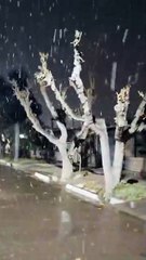 Descubre El Plumerillo en Las Heras: Historia y Bellezas Naturales 🌿