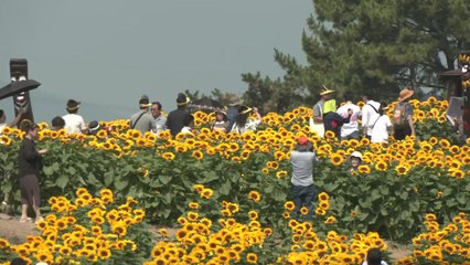 휴일 나들이 나왔는데...6월 폭염 기세에 '깜짝' / YTN