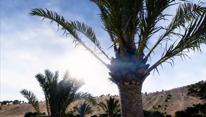 Dayz Badlands - Terrain Showcase