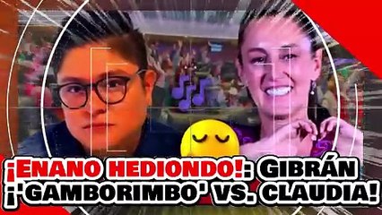 🔥🚨¡ENANO CER…DO HEDIONDO! ¡”EL GAMBORIMBO” TRAIDOR GIBRÁN BIEN ARDIDO contra LA PRESIDENTA CLAUDIA!