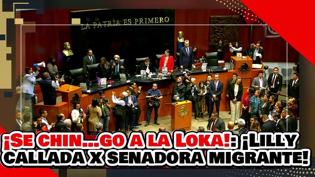 🔥🚨¡SE CHIN…GO A LA NARKO LOKA! ¡LILLY CALLADA por SENADORA MIGRANTE! ¡LE PONE un ALTO con DIGNIDAD!