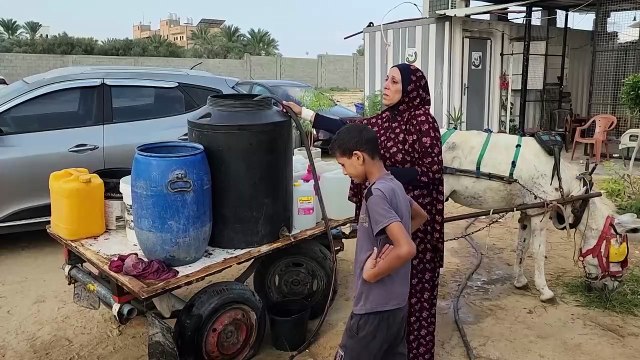 Al menos siete palestinos muertos por bombardeos israelíes sobre Gaza y Jan Yunis