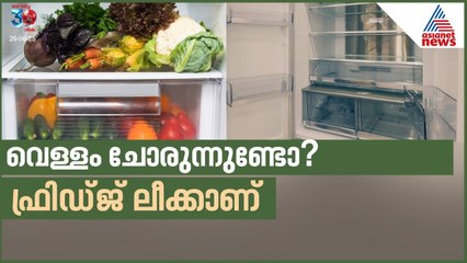ഫ്രിഡ്ജിൽ നിന്നും വെള്ളം ചോരുന്നുണ്ടോ? കാരണം ഇതാണ് | Fridge Leak
