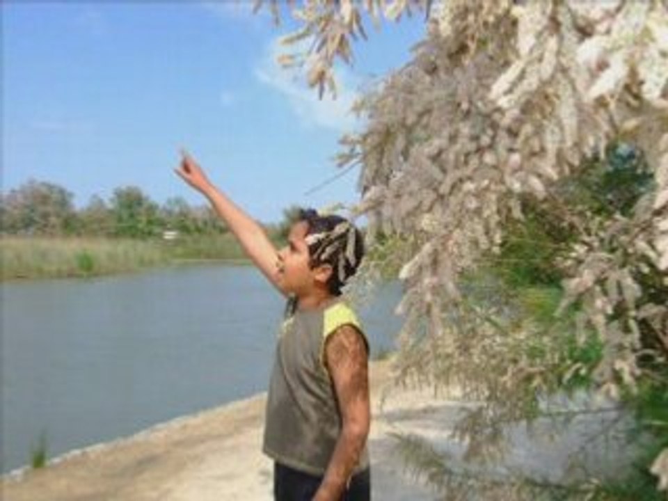 Le Parc Ornithologique de Pont de Gau