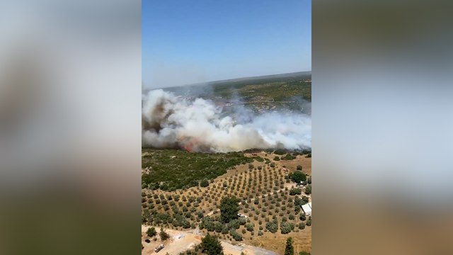 Didim'de yangın çıktı: Evlere doğru ilerliyor!