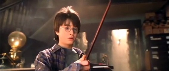 Harry Potter a Kámen mudrců