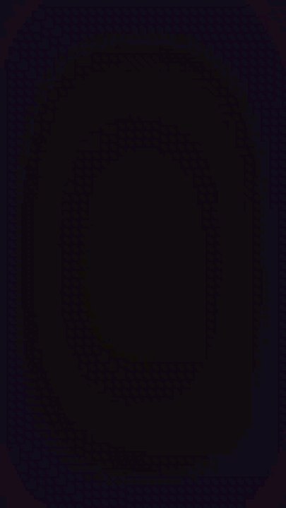 Cacatoès blanc d'Australie