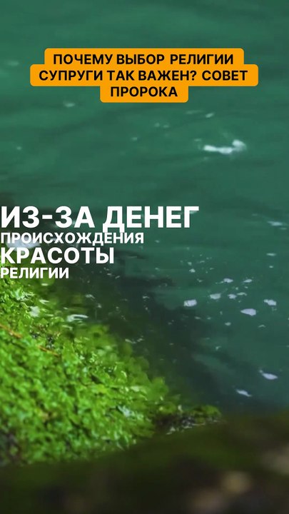Почему выбор религии супруги так важен. Совет пророка