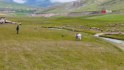 Gümüşhane yaylalarında görsel şölen
