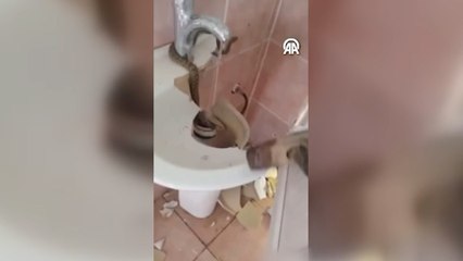 Lavaboya sıkışan yılan kurtarıldı
