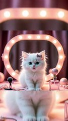 “POV: Your Kitten Just Booked the Ring Light to Drop Her APT Hit Single 😹🎤💡”