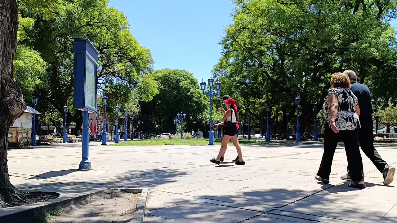 CRONICA DE UNA BÚSQUEDA