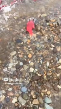 Hey fishes are you there dancing 💃🕺👯 or enjoying the rainy season 🤩😍🤩🥰😍