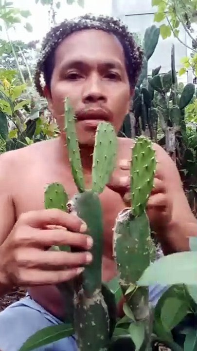 Cactus Challenge He Regrets Everything 😭
