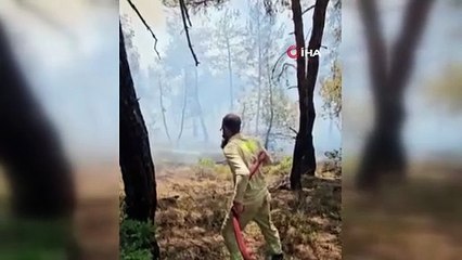 Yeşilin tonlarının yanarak siyaha büründüğü alanlar havadan da görüntülendi