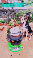 Zahid 75   Comedy  Memes# Viral Short#funny video