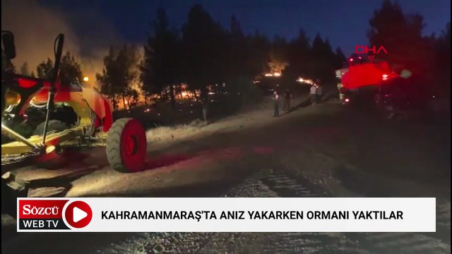 Kahramanmaraş'ta anız yakarken ormanı yaktılar
