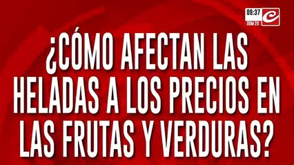 Ola polar y alerta por subas en alimentos: el frío extremo podría impactar en el precio de las verduras