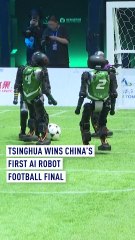 AI-Powered Humanoid Football Final: Tsinghua University Triumphs 🏆