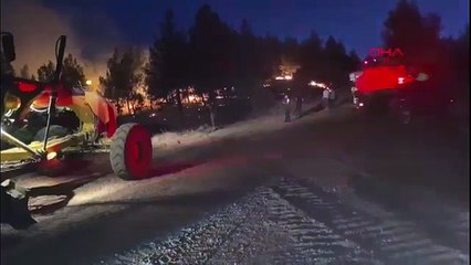 Anız yakarken, ormanı yaktılar!